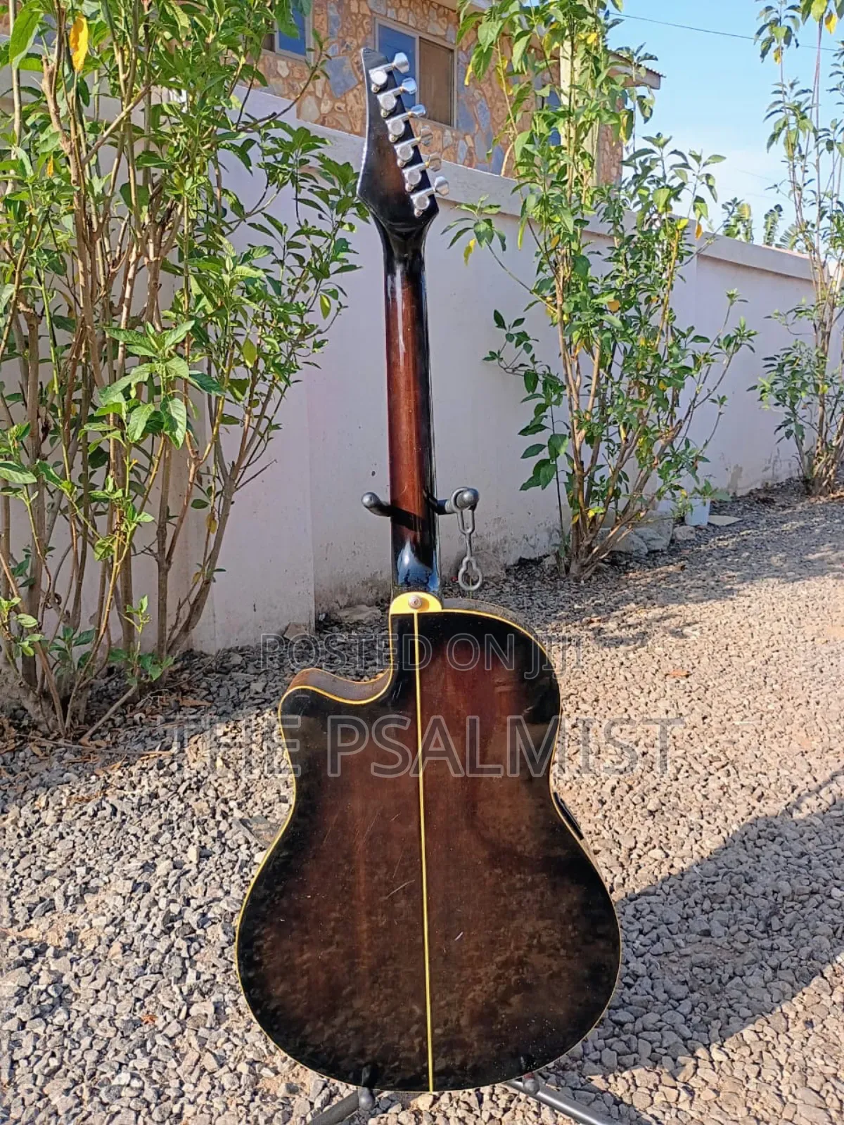 Rumbler by Morris Mr- Semi Acoustic Guitar