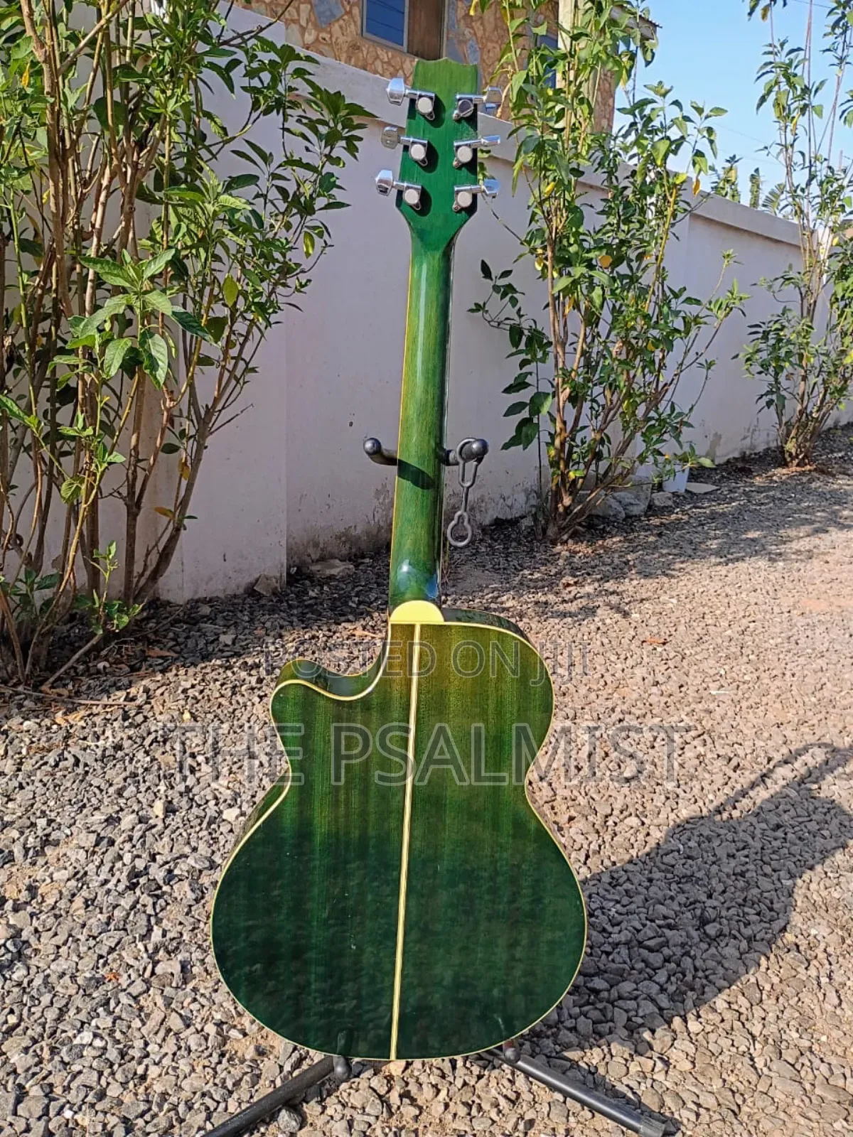 Rumbler by Morris Mr- Semi Acoustic Guitar