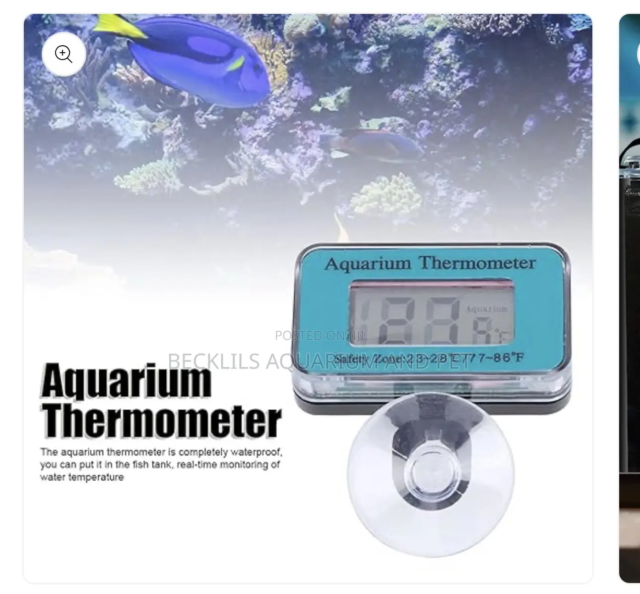 Aquarium Thermometer