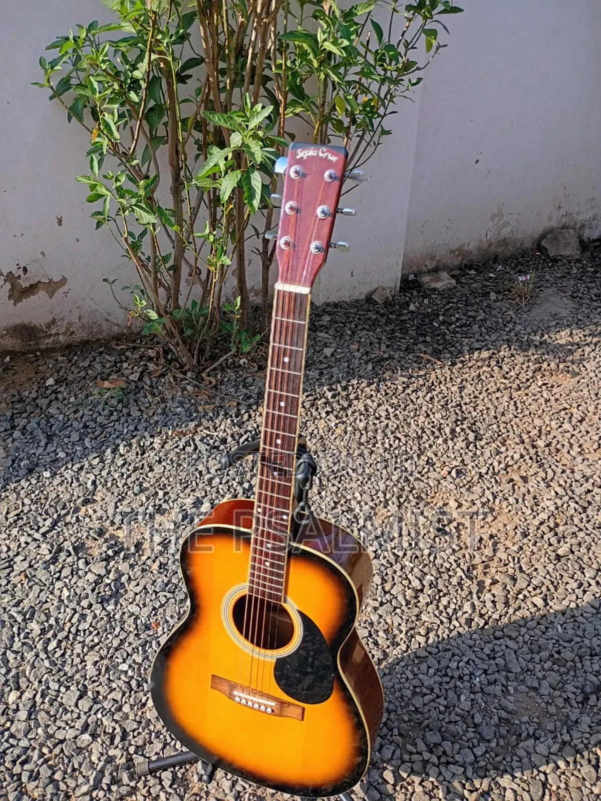 Sepia Crue F-130/Ts Acoustic Guitar