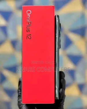 New OnePlus 12 256 GB Gray