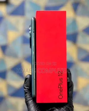 New OnePlus 12 256 GB Gray
