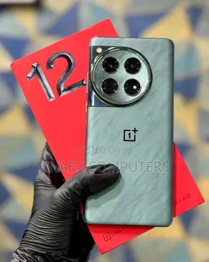 New OnePlus 12 256 GB Gray