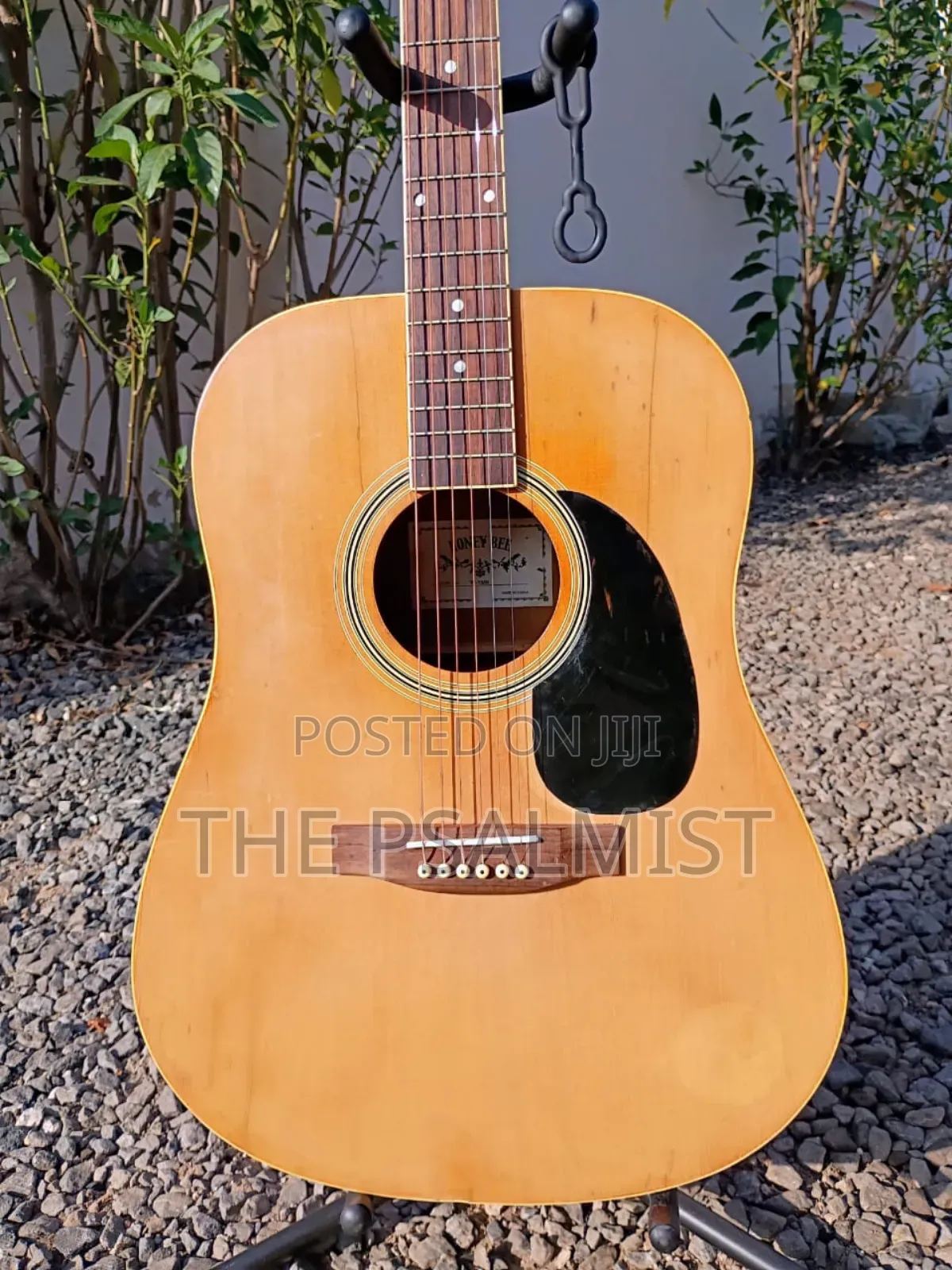 Honey Bee W/15n Acoustic Guitar