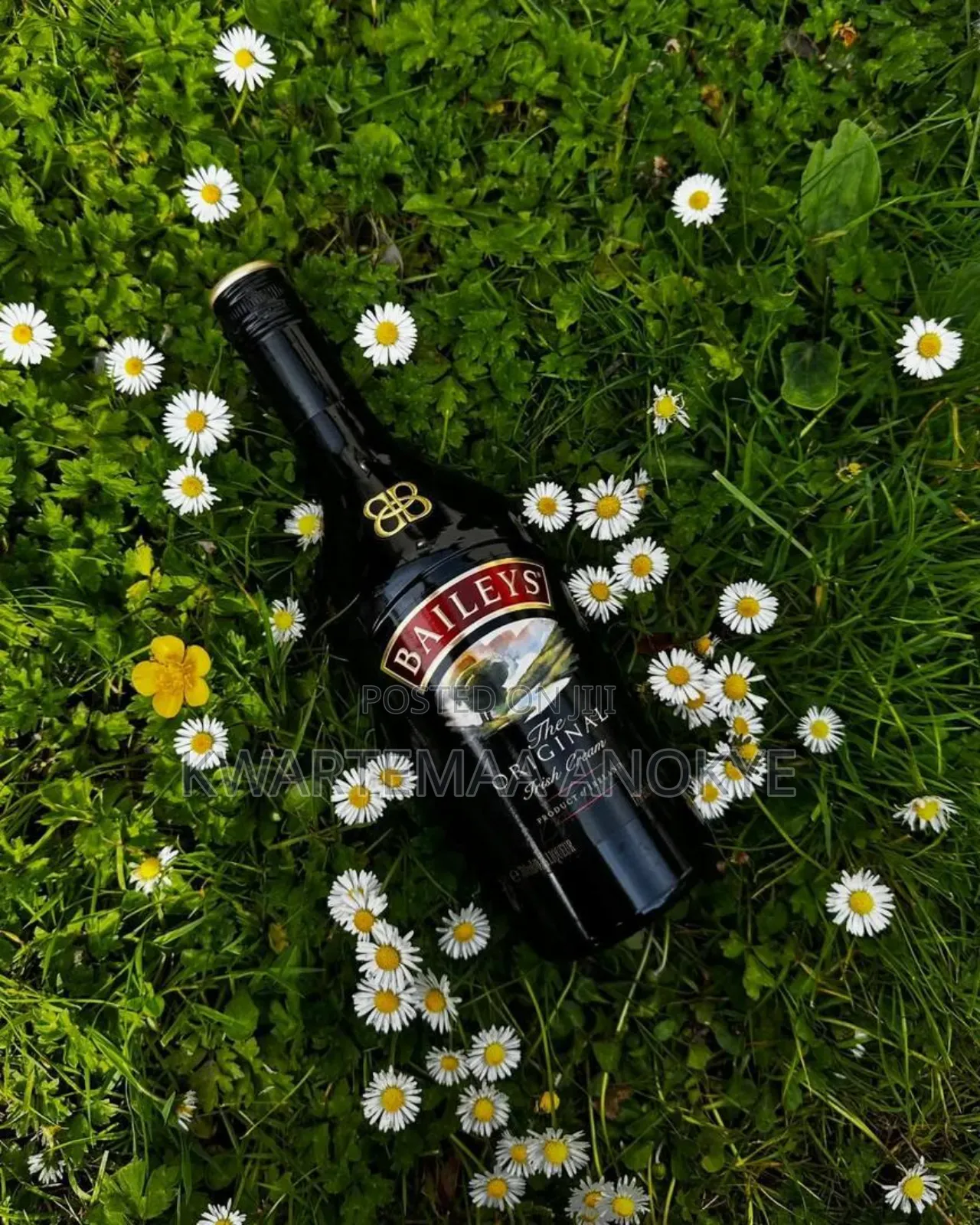 Baileys Enjoy