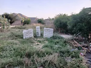 Half Plot for Sale