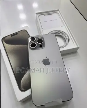 Apple iPhone 15 Pro Max 256 GB Gray
