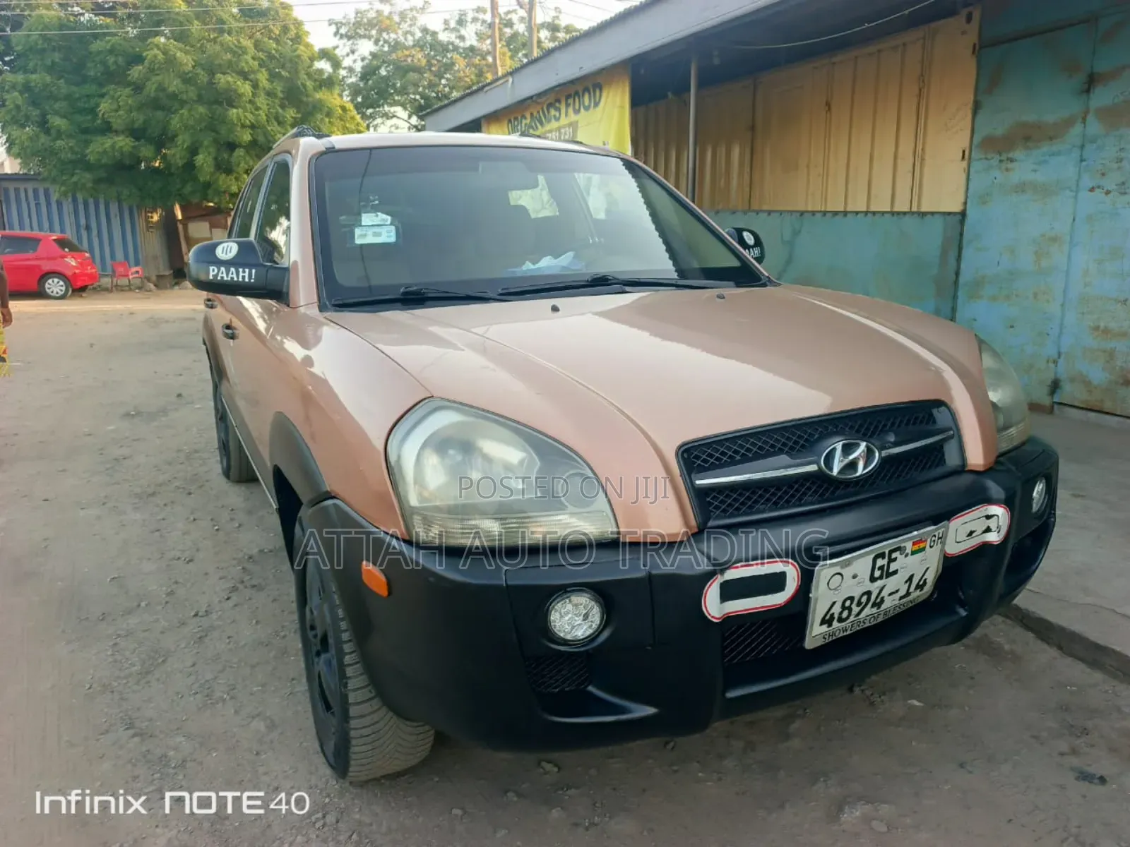 Hyundai Tucson 2005 Brown