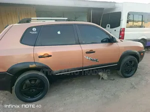 Hyundai Tucson 2005 Brown