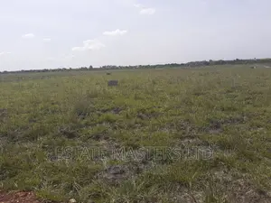 Registered Plots