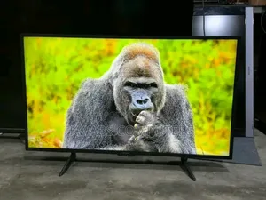 Best 43inches With Accessories