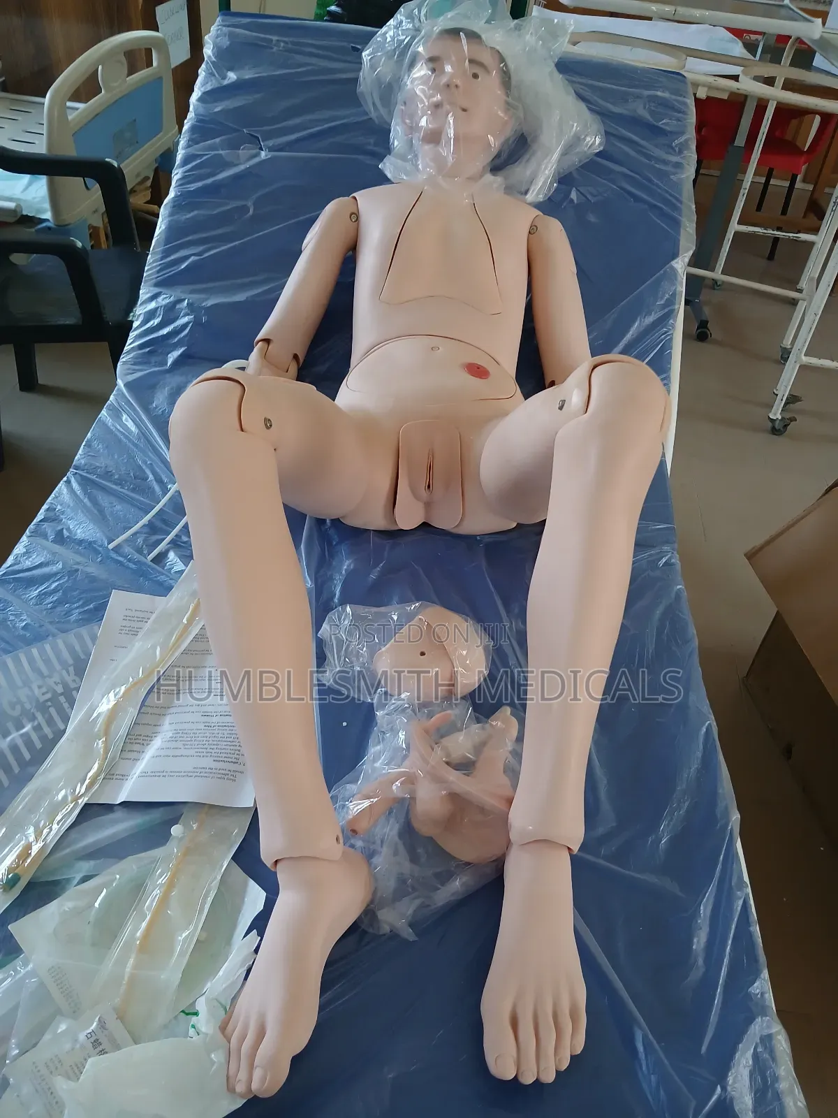 Unisex Anatomy Dummy/Nurse's Training Doll