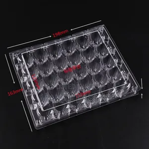 Quail Eggs Crates Available