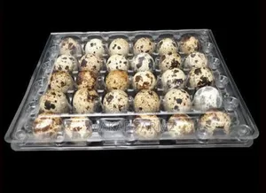 Quail Eggs Crates Available