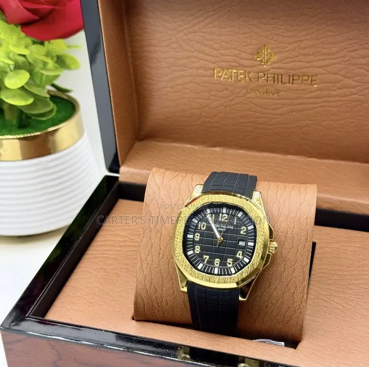 Patek Phillipe Astronaut Watch