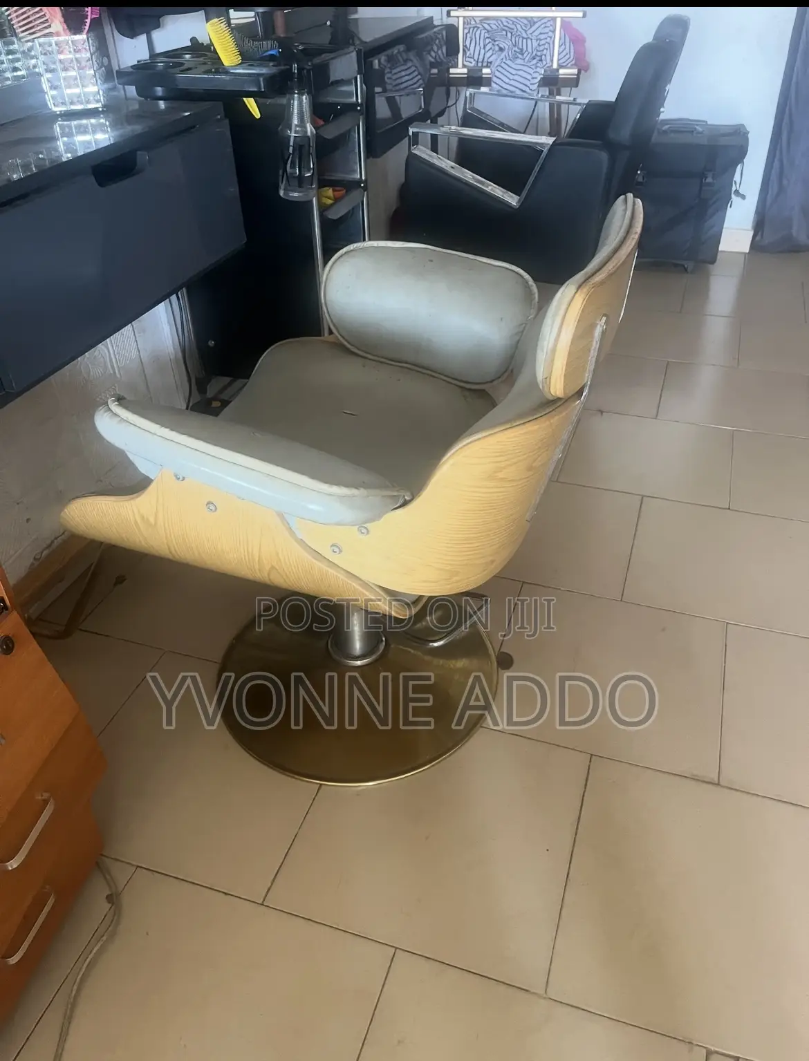 Salon Chair