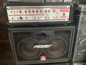 Peavy Bass Combo