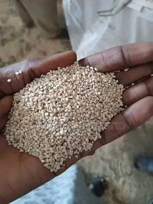Sesame, Raw Cashews