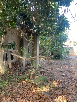 2 Plots (120ft/100ft) of Land With an Old Building for Sale Dzorwulu.