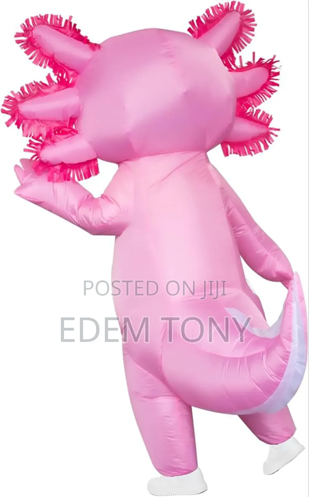 Stegosaurus Inflatable Axolotl Costume for Kids Blow Up Costume