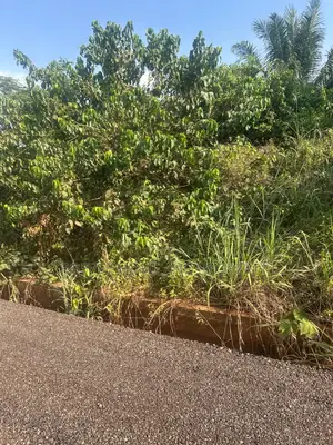 Land at Donyina