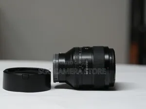 Sony 85mm F1.4 G-Master Lens// 6-Months
