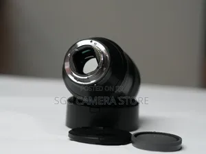 Sony 85mm F1.4 G-Master Lens// 6-Months