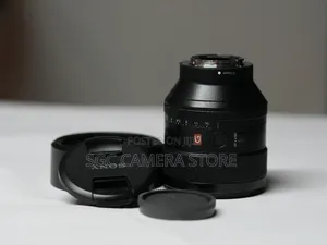 Sony 85mm F1.4 G-Master Lens// 6-Months