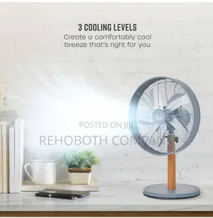 Swan Sfa16920gryn Nordic 12 Inch Desk Fan, 4 Power Levels