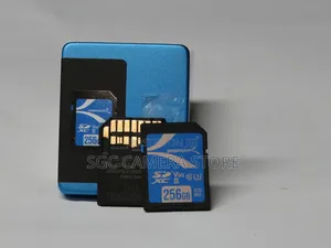 256 Gb Uhs Ii V60 Sd Card // Usa Brand