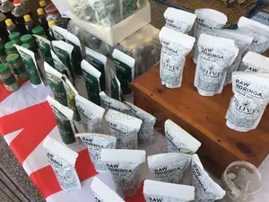 Raw Moringa Tea | Pure Organic Tea Bag Helives Fda Certified Approved