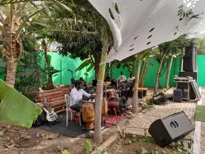 Live Band Music and Instument for Rentals