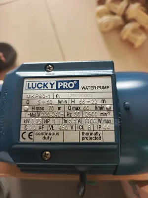 Lucky Pro 1hp Peripheral Water Pump