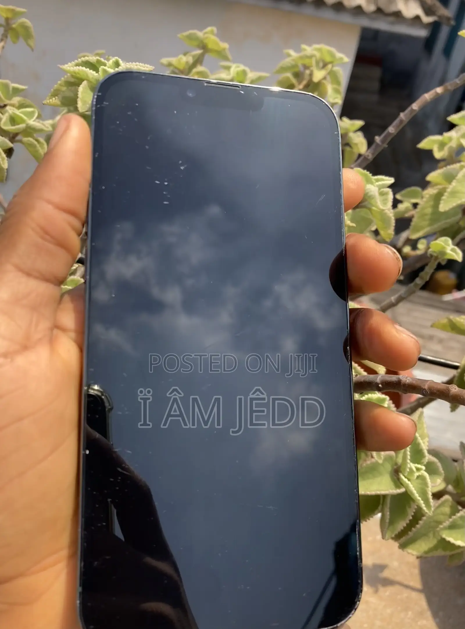 Apple iPhone 13 Pro Max 128 GB Green