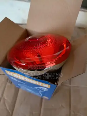 Brooder Lamps