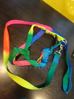 Leash For Dogs