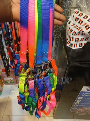 Leash For Dogs