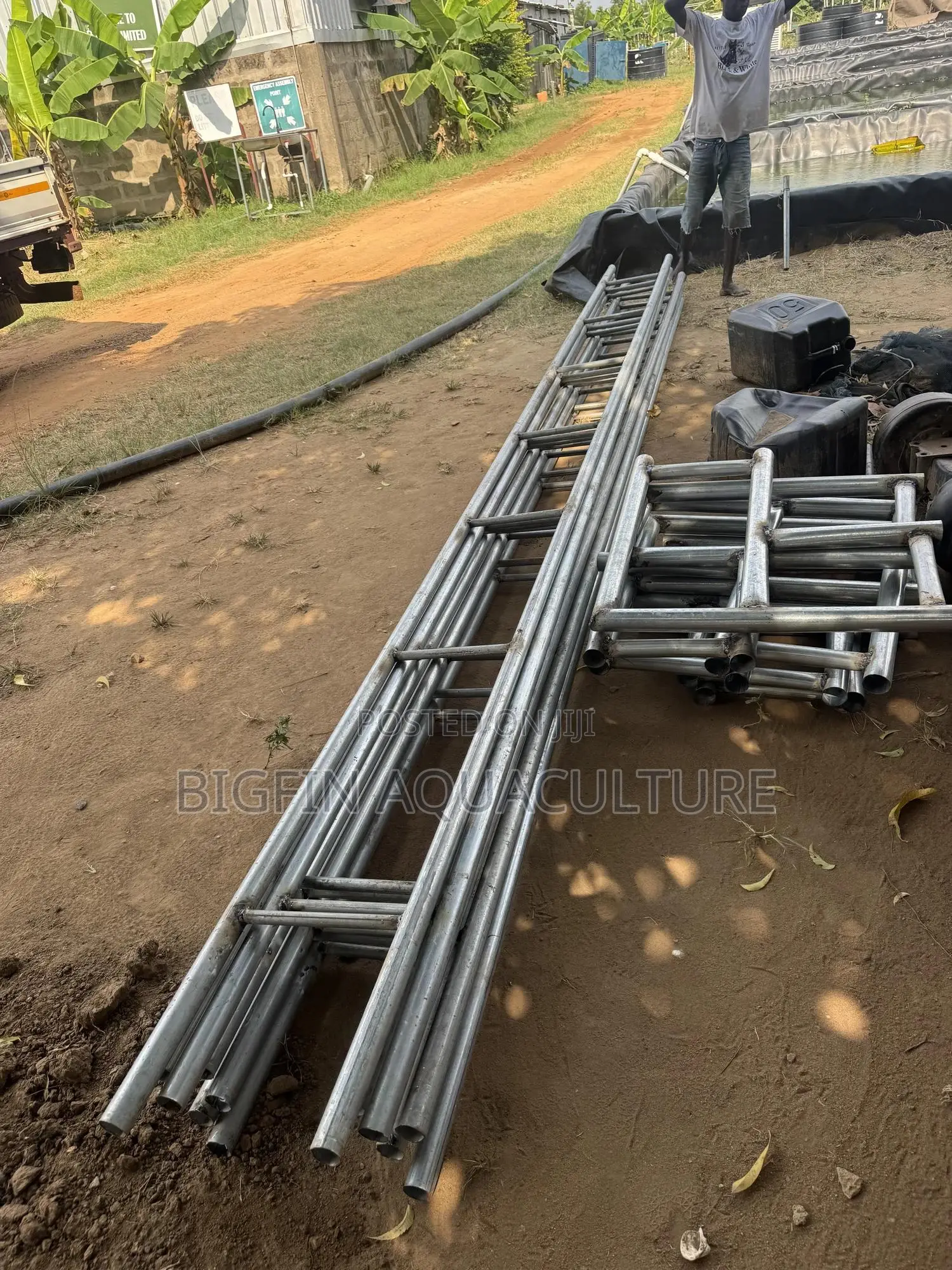 Floating Tilapia and Catfish Cages