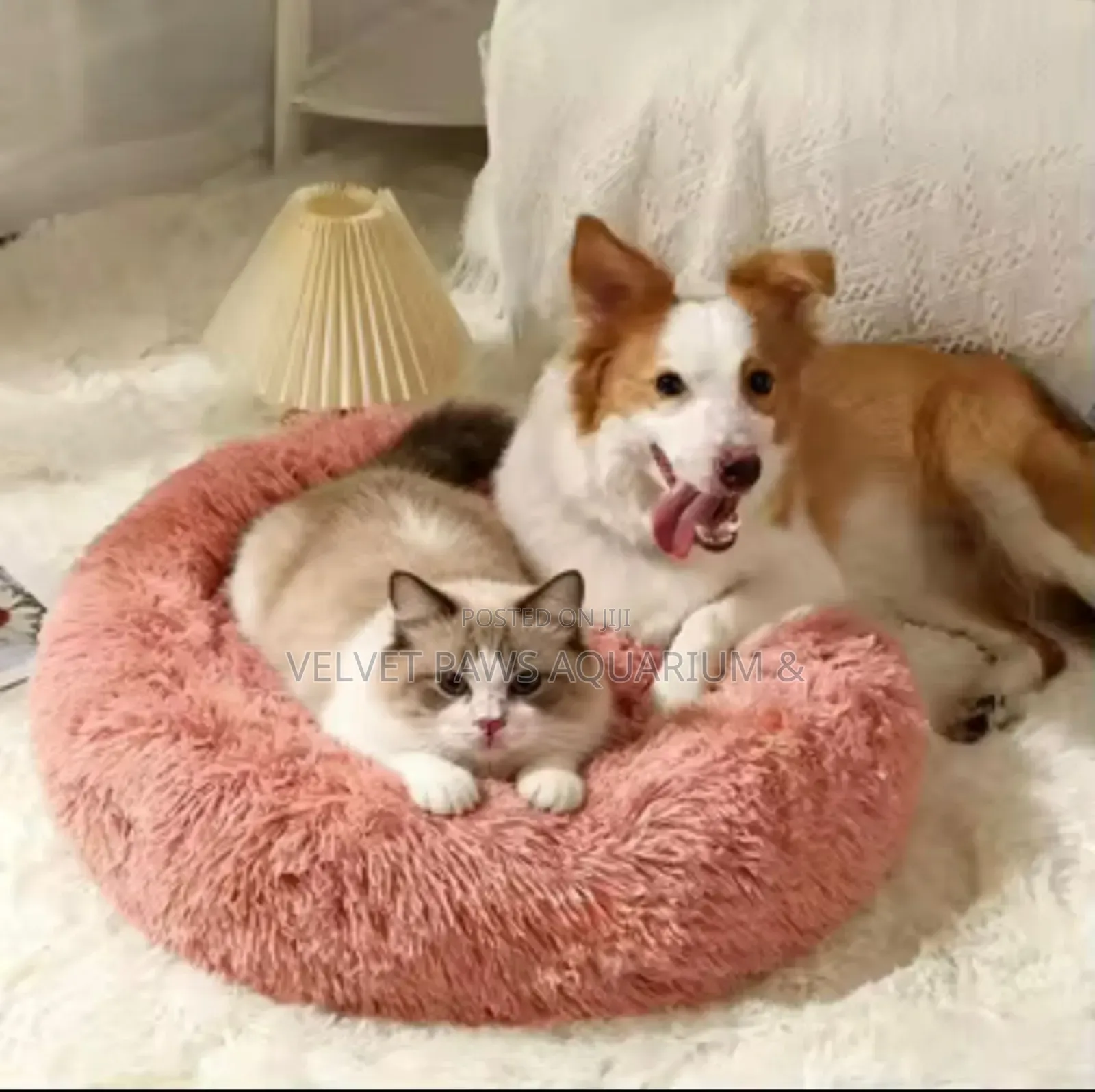 Round Large Dog Bed
