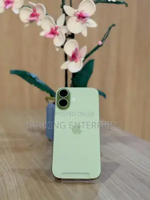 Apple iPhone 17 256 GB Green