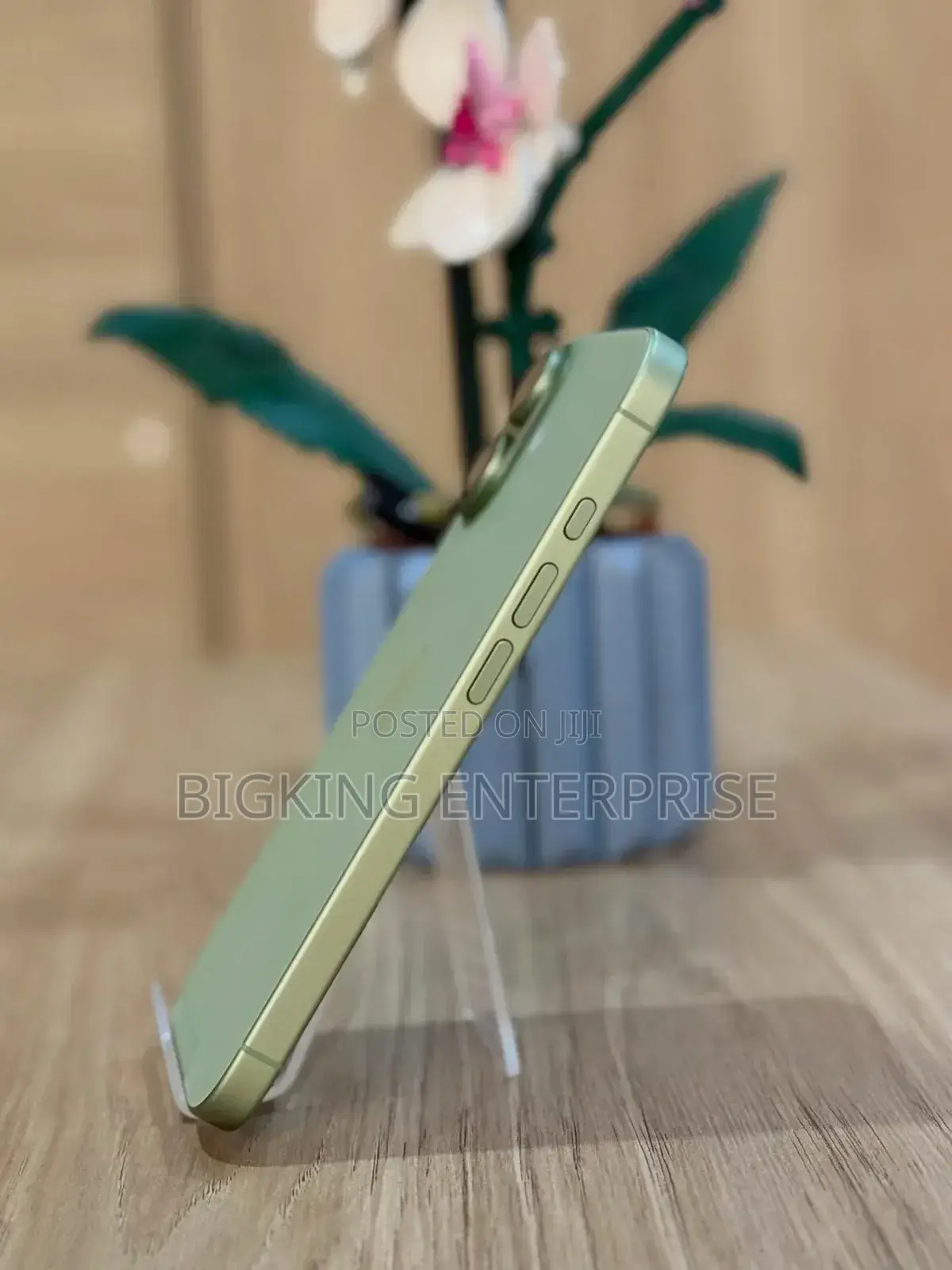 Apple iPhone 17 256 GB Green