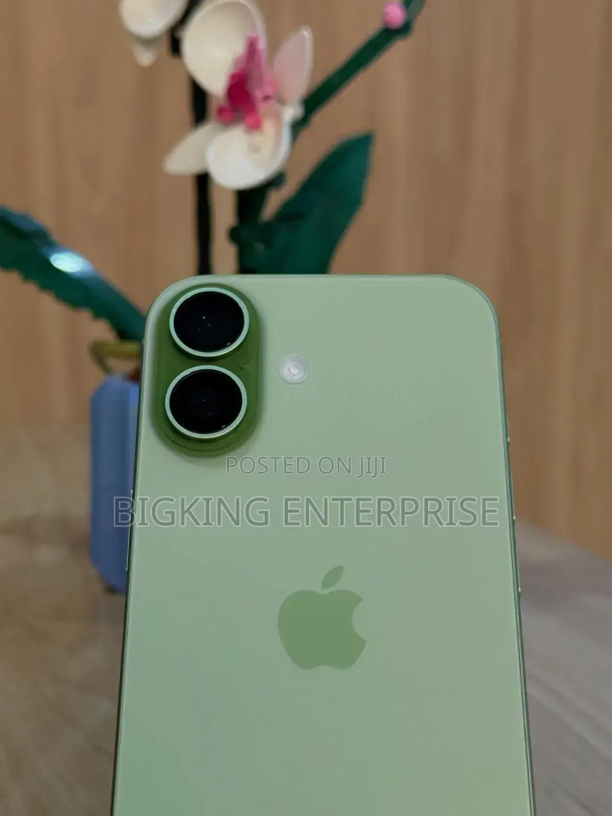 Apple iPhone 17 256 GB Green