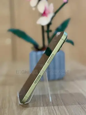 Apple iPhone 17 256 GB Green