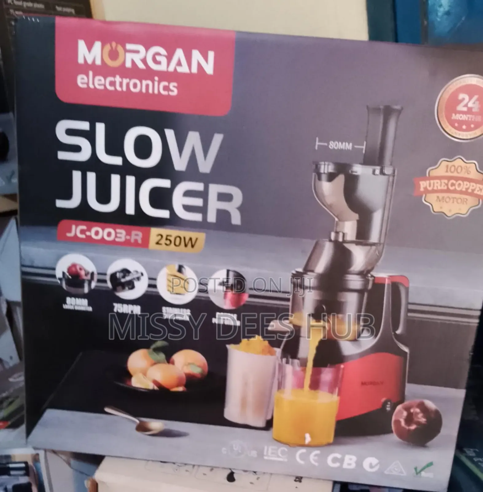 Slow Juicer From Morgan Electronics