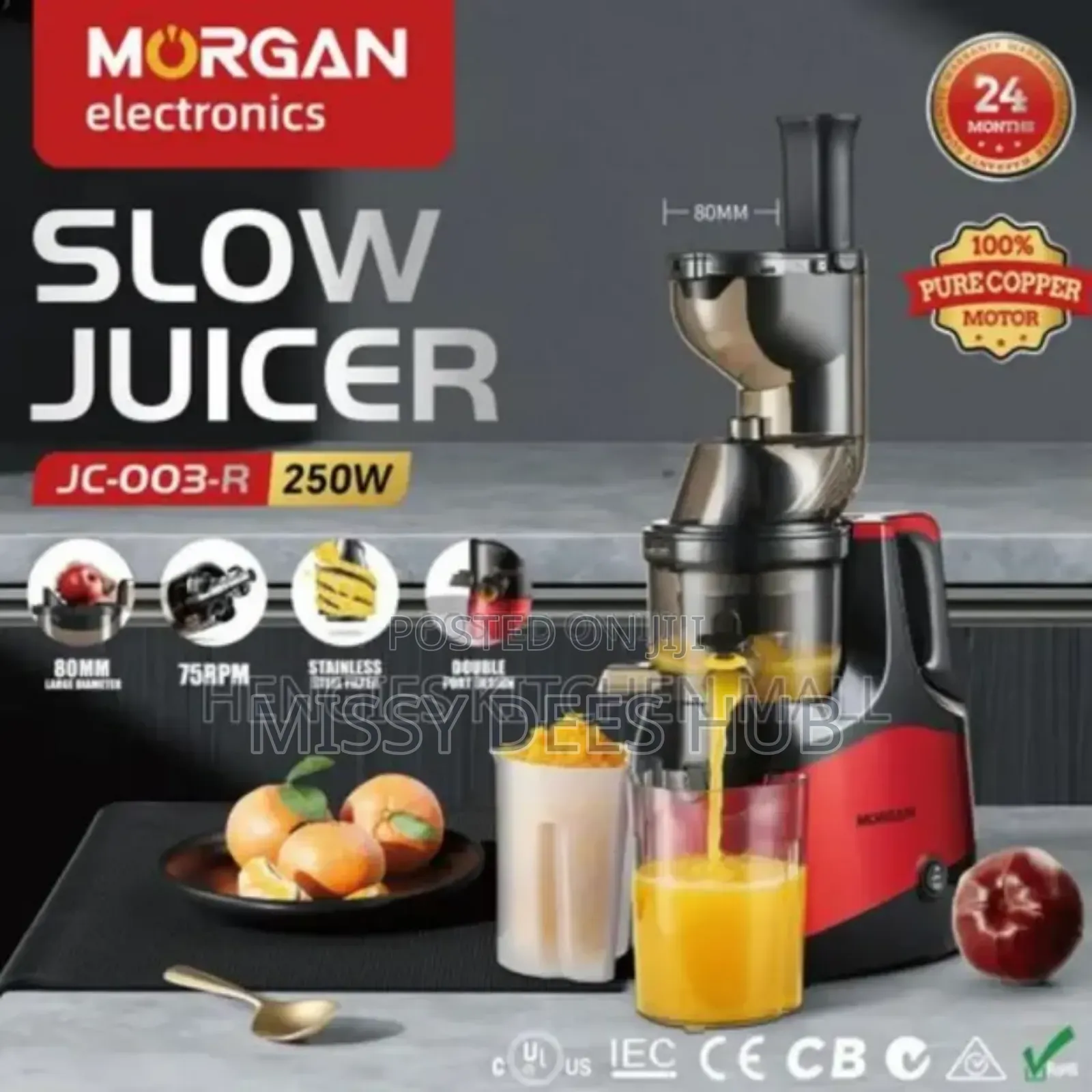 Slow Juicer From Morgan Electronics