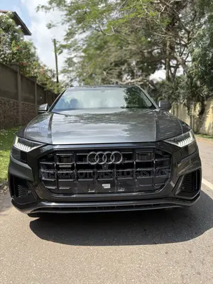 Audi Q8 3.0T Premium AWD quattro 2019 Gray