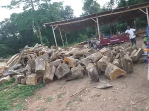 Firewood ( Cedriella ) for Sale