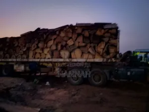 Firewood ( Cedriella ) for Sale
