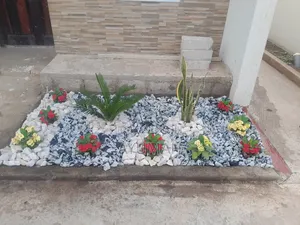Flowers and Green Grass for Sale