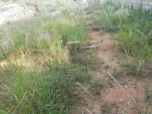 Half Plot of Land for Sale